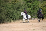 WJ6_8128