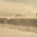 River at Saltford