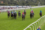 230824-Race 4-Bradsell-8395