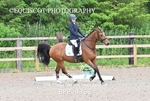 BPP_9368