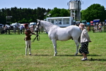 SBM_03880
