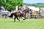 SBM_15413