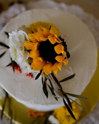 Weddings portfolio