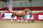 SBM_00538