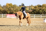 SBM_009072
