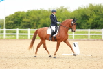 SBM_006768
