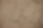 20260913-0188