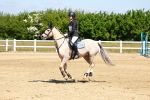 SBM_007387
