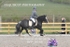BPP_8638