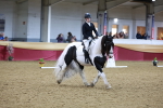 SBM_09952