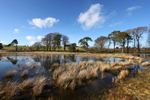 Priddy, Somerset_PR_003