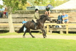 SBM_69360