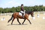 SBM_013948