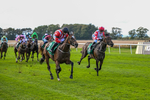 Race 2 2.51pm Patrick Hibbert-Foy Memorial Nursery Handicap portfolio