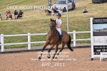 BPP_3911