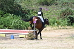 WJ7_4375