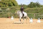 SBM_002245