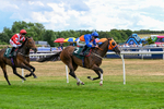 040826-Race 4-Miss Rainbow-5271
