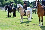 SBM_15418