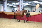 SBM_04364