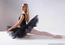 Performance portfolio