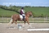 BPP_5593