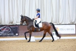 SBM_000648