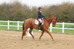 SBM_002583