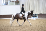 SBM_016338
