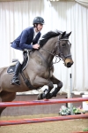 Class 25 - Equestrian Senior Foxhunter 1.20m portfolio