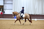SBM_001254