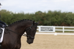 SBM_002947