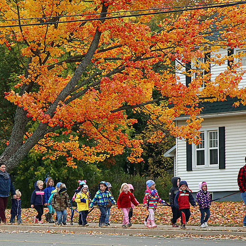 Daycare students march along a street amid intense autumn foliage in Salisbury, NB, Canada.