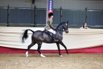 SBM_23524
