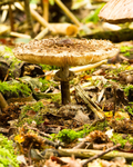 20131005-_MG_5643-2451