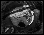 Ovum