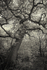 Meandering