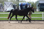 SBM_18977