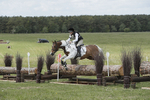 BVHT 140517  IXC -445