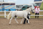 SBM_08494