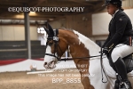 BPP_8855