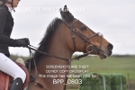 BPP_0803
