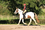 SBM_17333