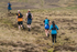 Hartside-135