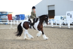 SBM_06979