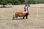 WJ6_4412