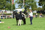 SBM_46960