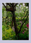 Paula's Garden 3