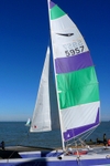 Summer Sails