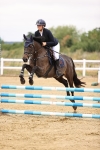 SBM_024381